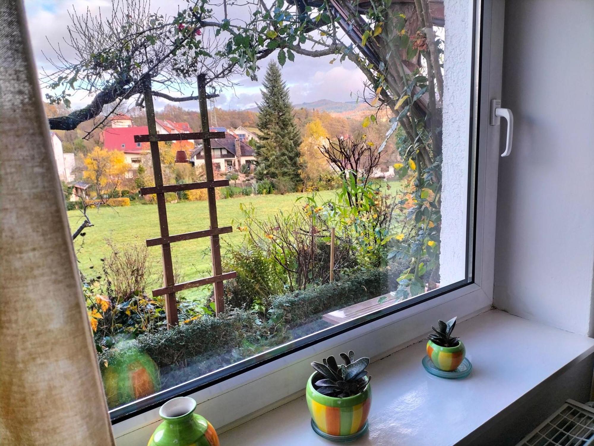 Pension Rosenblick Mörlenbach 외부 사진